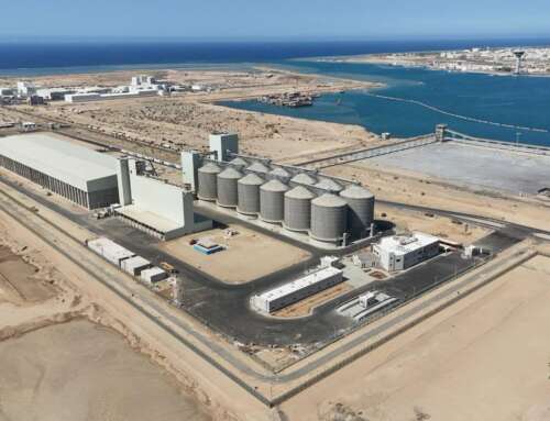 Yanbu Silo Project – Salic